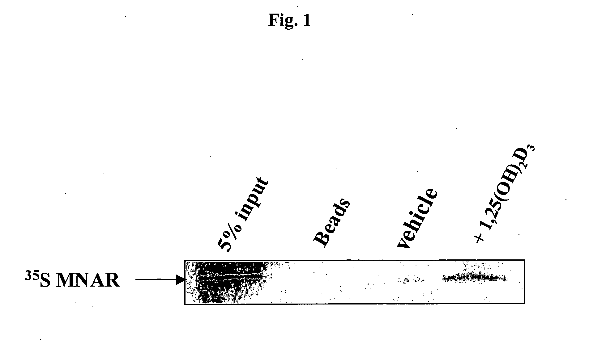 Functional method for generating or screening for ligands which modulate steroid hormone receptors