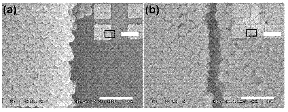 Method for preparing unary or binary patterning colloidal photonic crystal