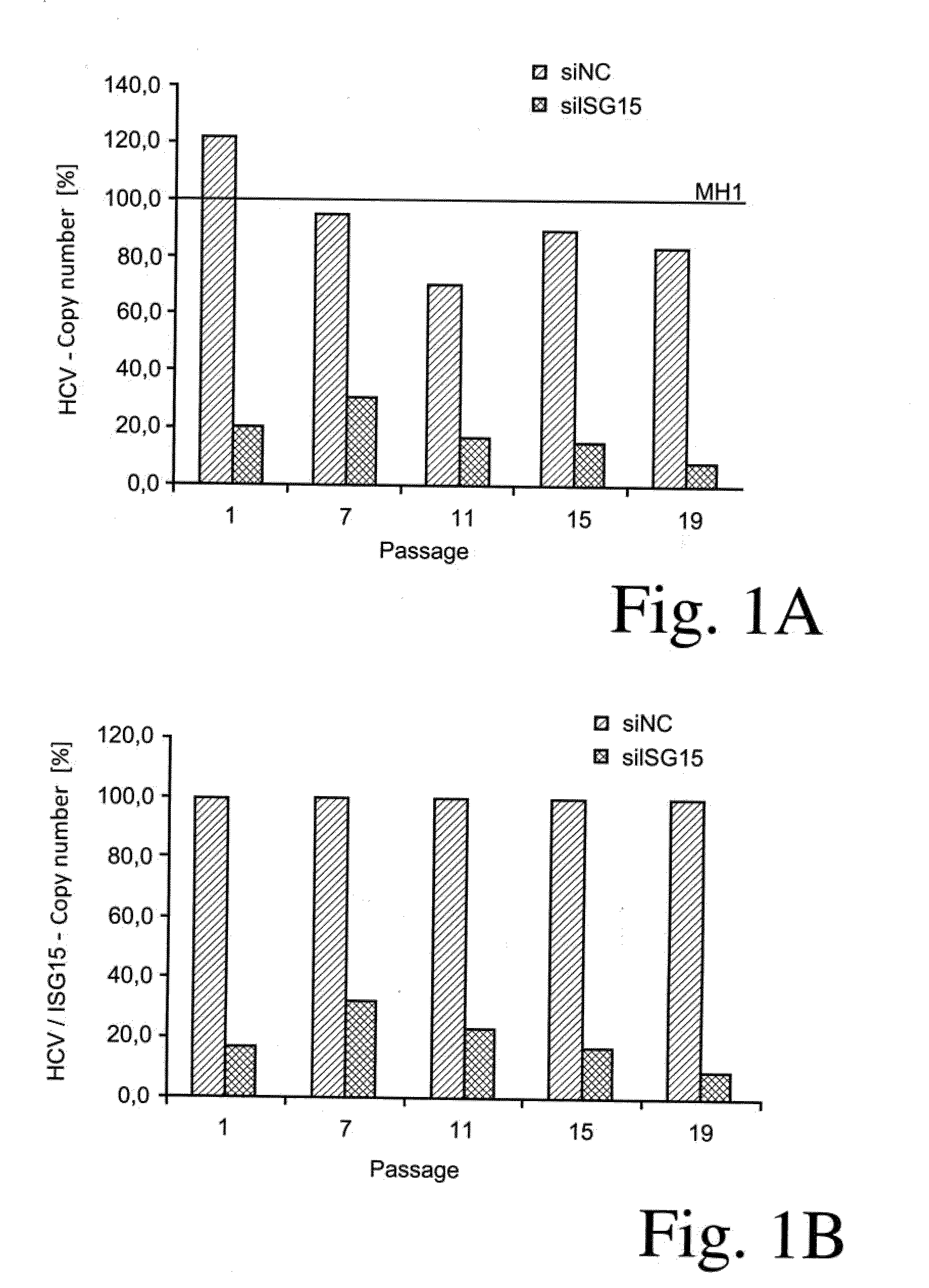 Novel therapeutic agents against hepatitis