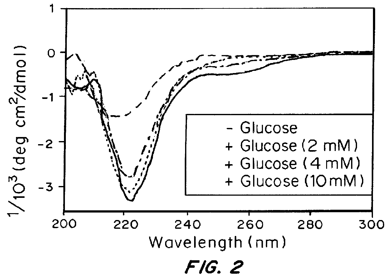 Self-regulated peptide hydrogel for insulin delivery