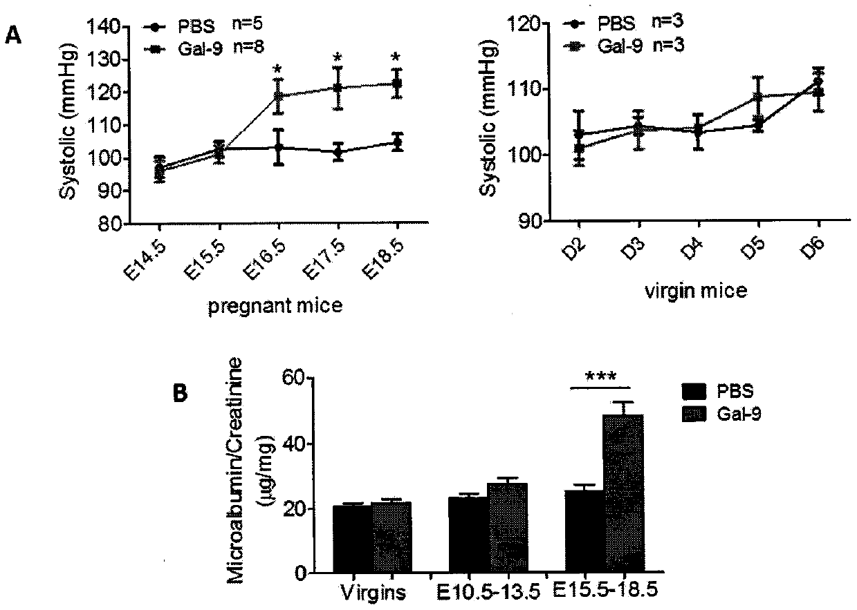 Method for constructing mouse preeclampsia model