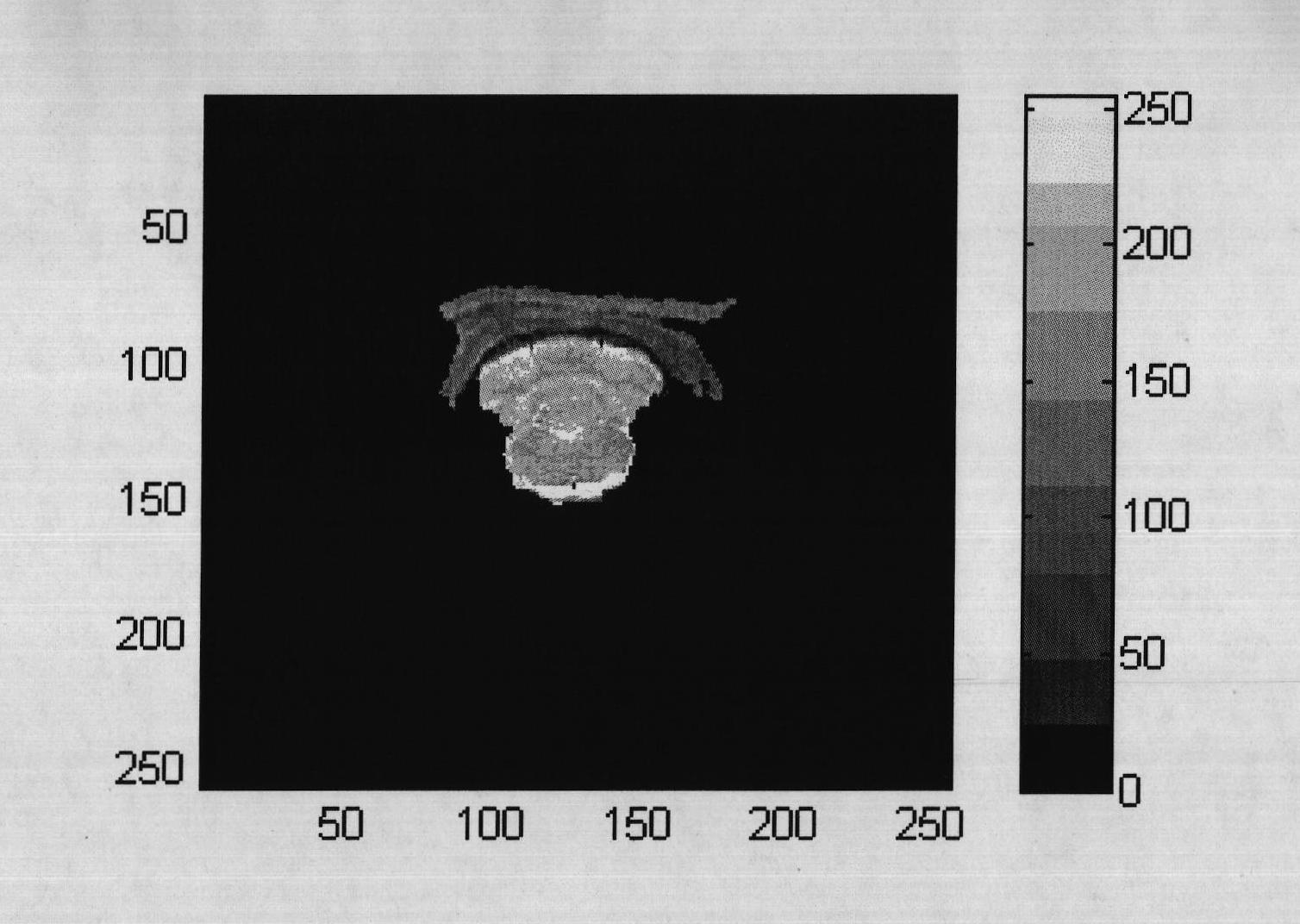 Obtaining method of rat head magnetic resonance image Monte Carlo simulation model