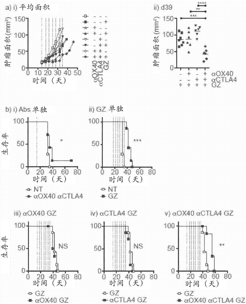 Compositions and methods for enhancing the efficacy of cancer therapy