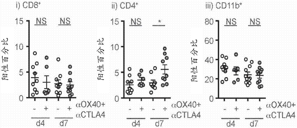 Compositions and methods for enhancing the efficacy of cancer therapy