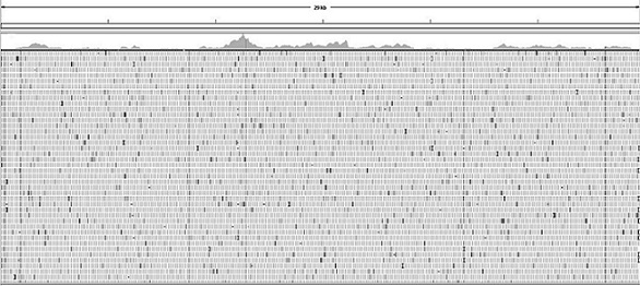 Method for capturing whole genome from adenovirus, primer group and kit