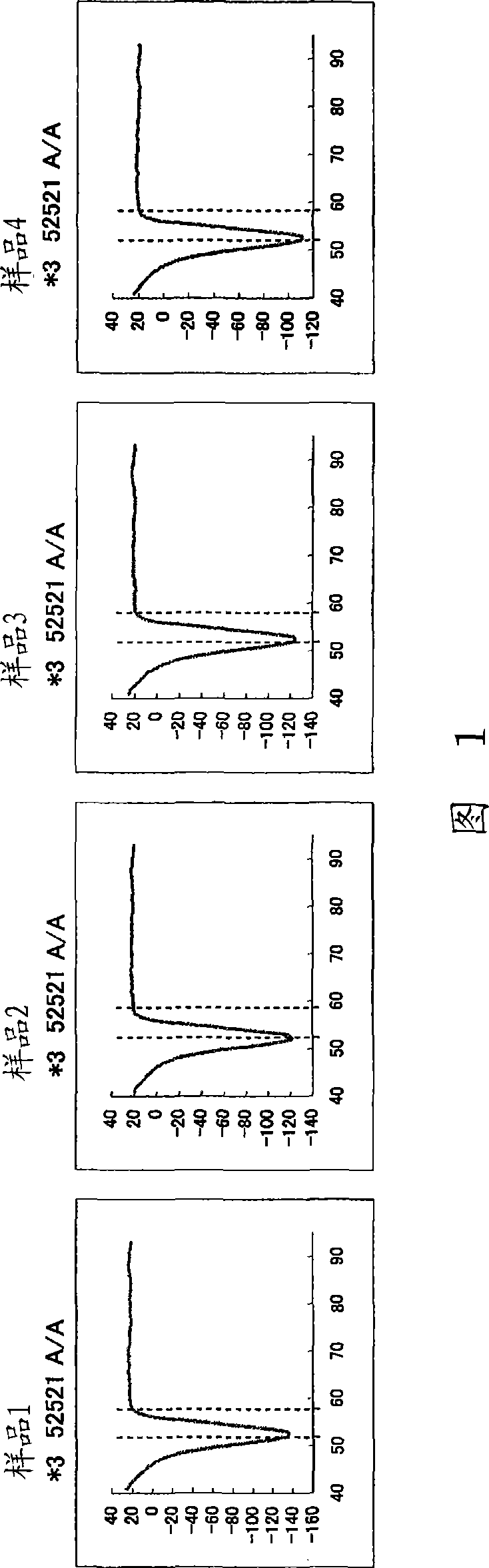 Primer set for amplification of CYP2C9 gene, reagent for amplification of CYP2C9 gene comprising the same, and use of the same