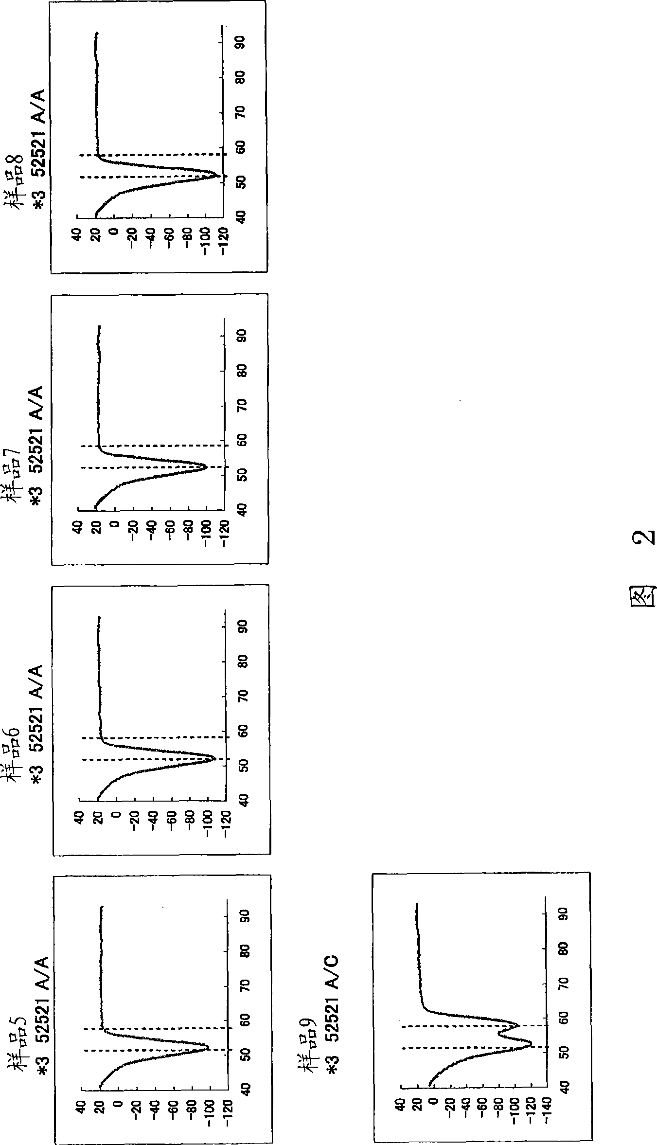 Primer set for amplification of CYP2C9 gene, reagent for amplification of CYP2C9 gene comprising the same, and use of the same
