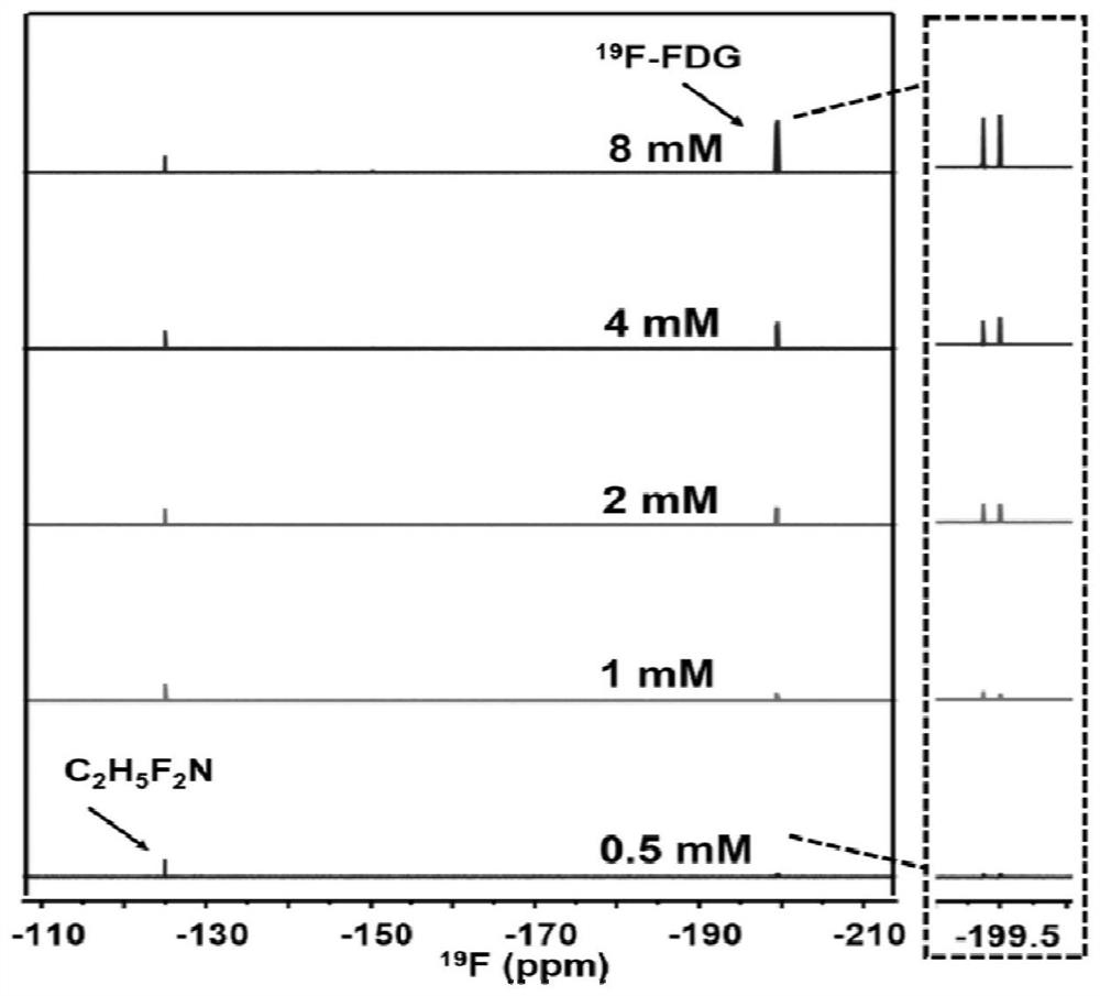 2-[19F] fluoro-2-deoxy-glucose as well as preparation method and application thereof