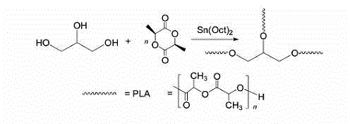 Polylactic acid (PLA) star-shaped diblock-copolymer medicinal functional material