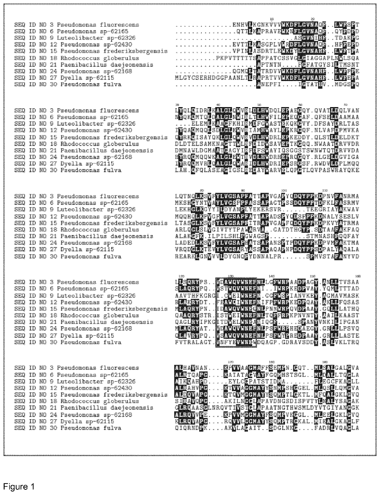 Polypeptides