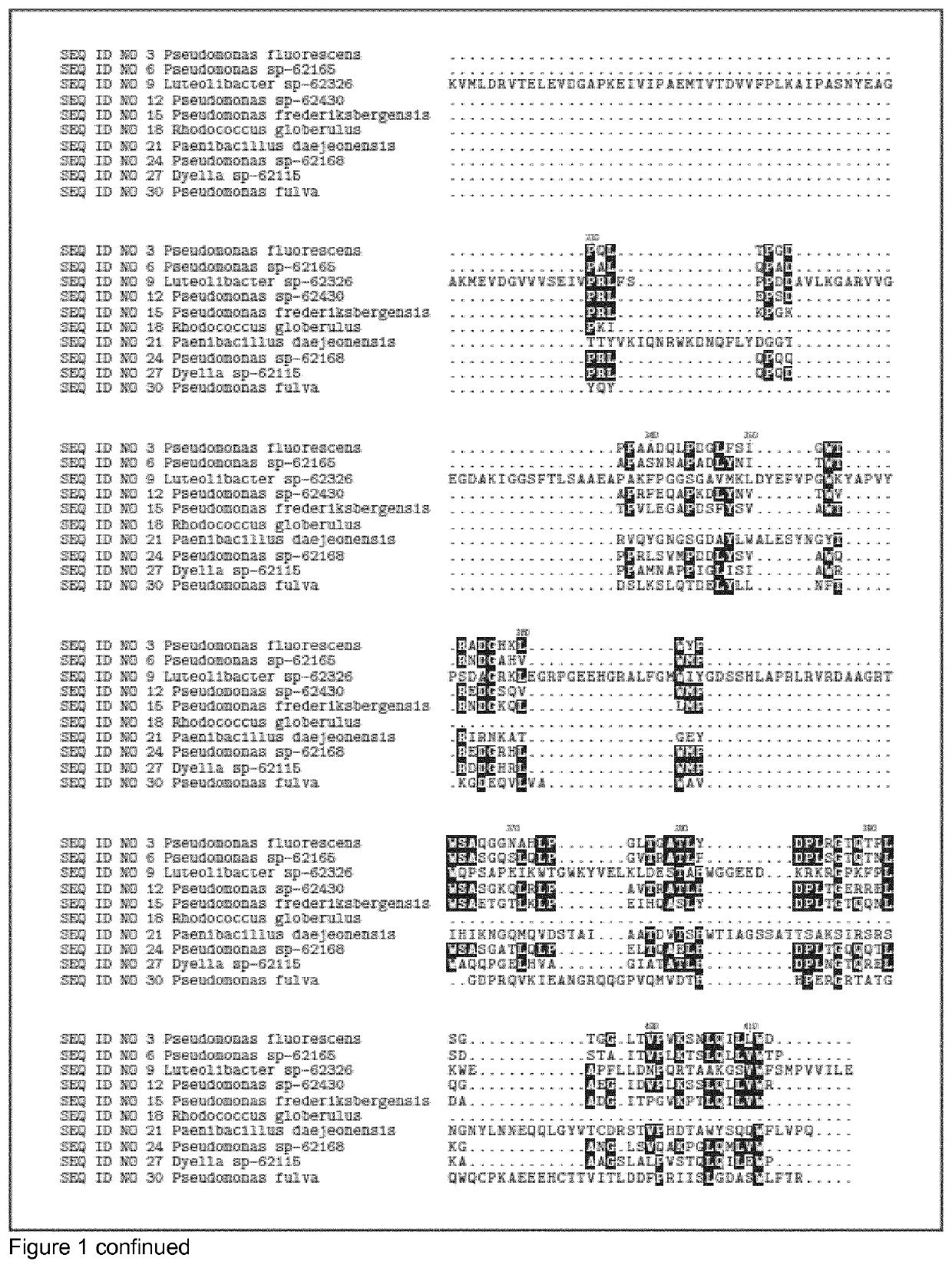 Polypeptides