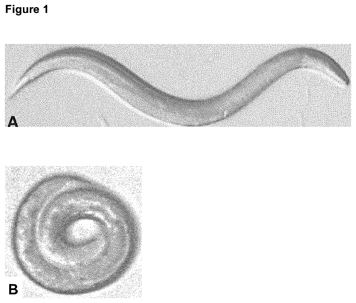 Compounds and methods for treating nematode infections