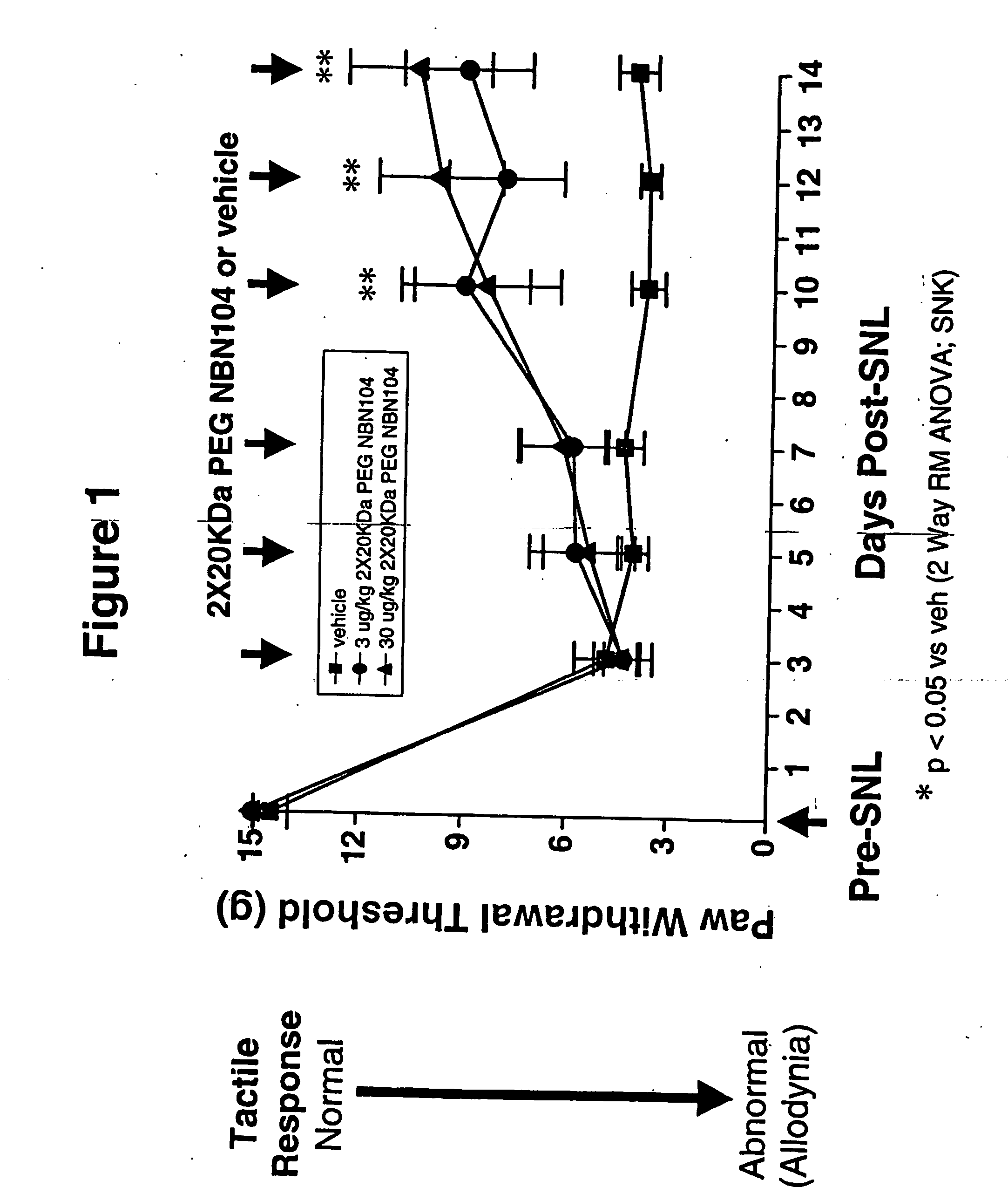Polymer-Conjugated Glycosylated Neublastin