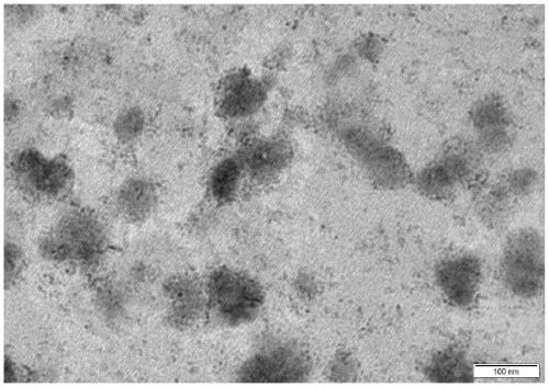 Preparation method of nanocapsules carrying fat-soluble active substances