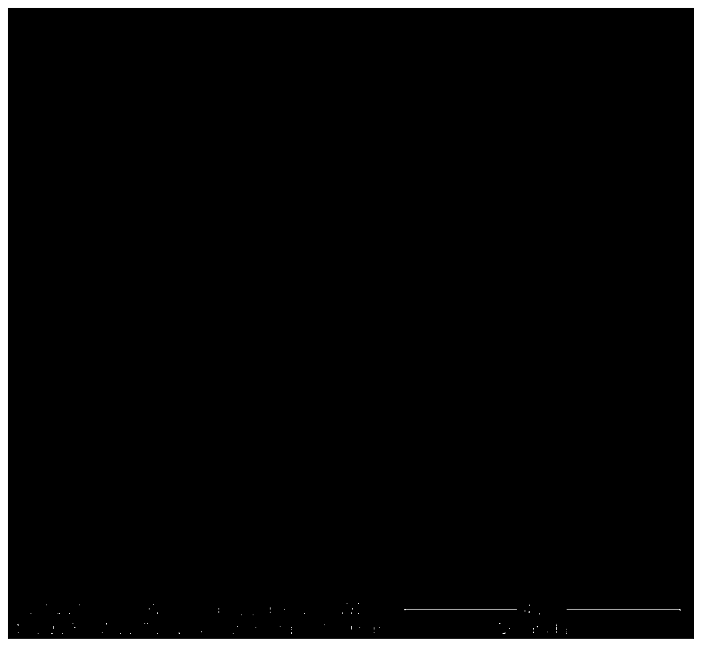 Core-shell type amorphous metal oxide adsorbent, as well as preparation method and application thereof