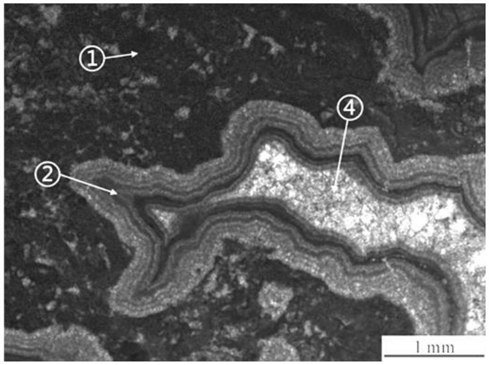 Carbonate rock diagenetic environment evolution history recovery method