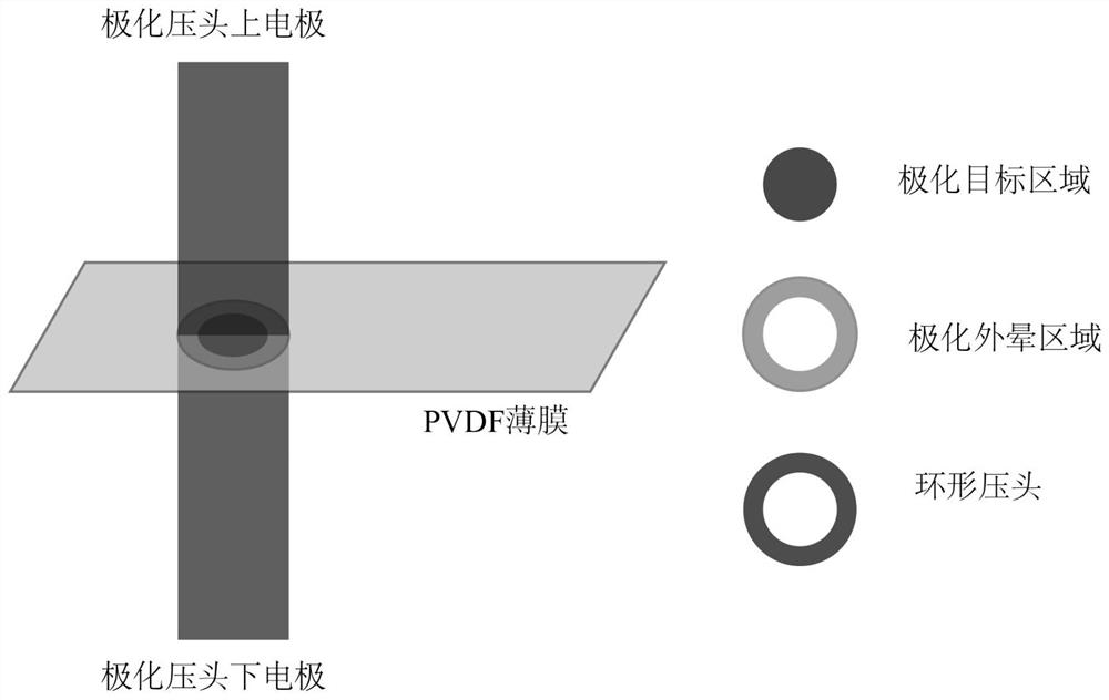 High-precision flexible piezoelectric film material local polarization method