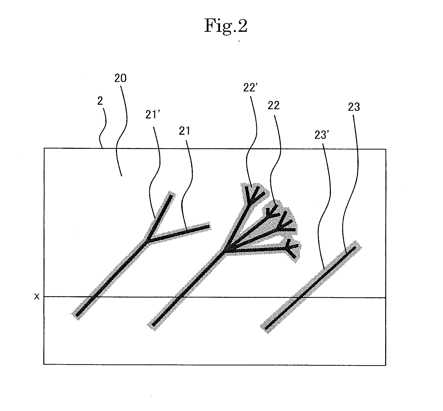 Apparatus and method for determining kind of steel material