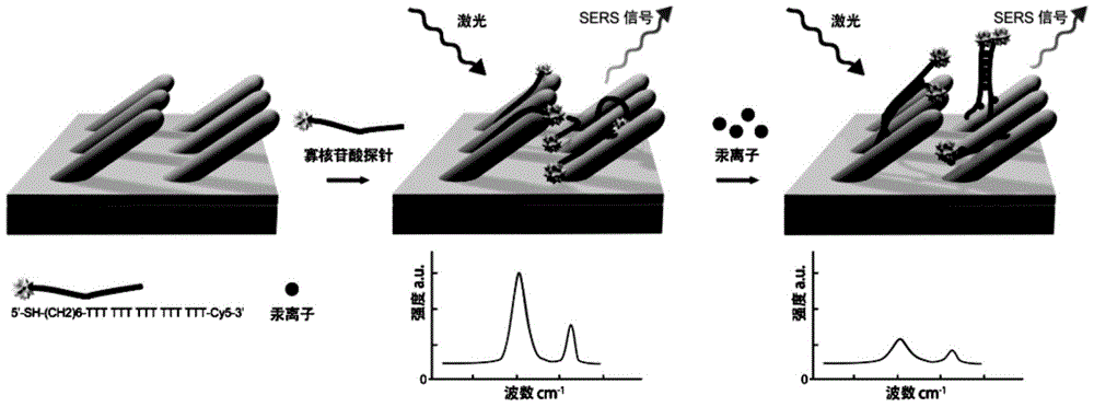 SERS (Surface Enhanced Raman Scattering) sensor for detecting mercury ions as well as preparation method and detection method thereof