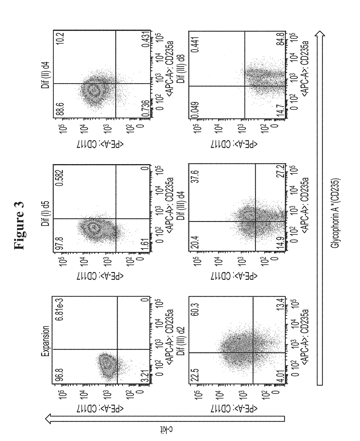 In vitro production of red blood cells with sortaggable proteins