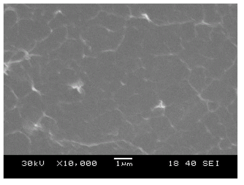 Bacteria cellulose hemodialysis membrane