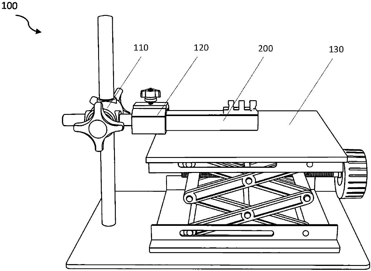 Localization and fixation device for animal tibia surgery