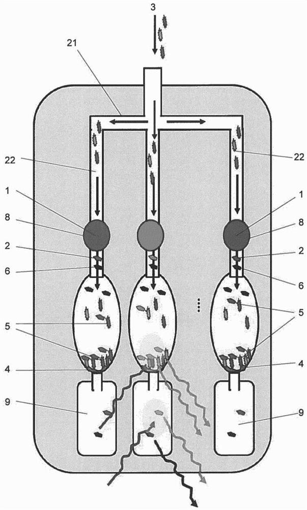 Method and device for detecting bacteria