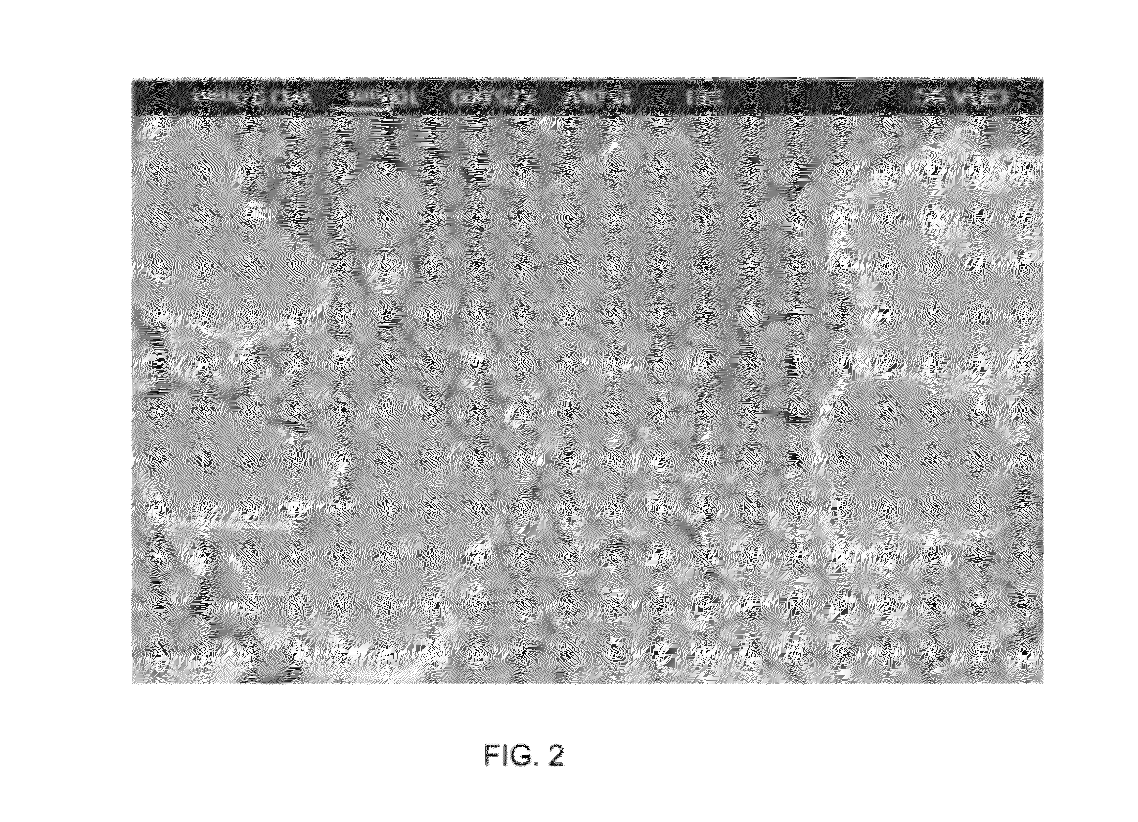 Aqueous dispersion of hybrid particles consisting of organic or inorganic pigment particles and organic nano-particles and process for preparing the same