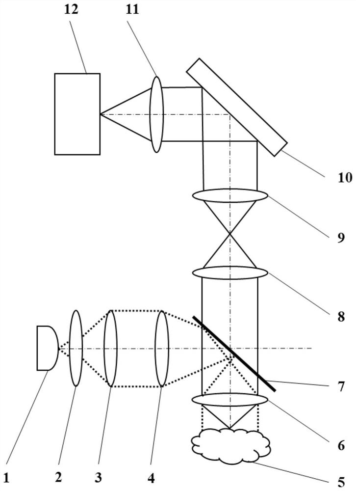 Real-time quantitative phase imaging method and system for label-free thick sample