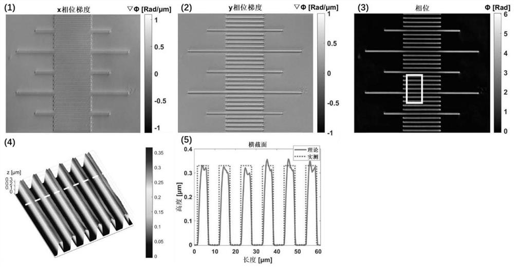 Real-time quantitative phase imaging method and system for label-free thick sample