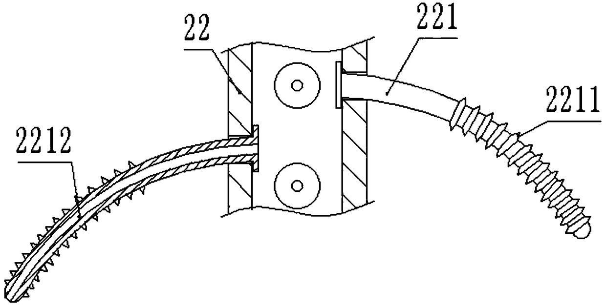 Continuous separation equipment with cleaning device for grapes