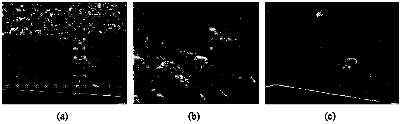 Video motion feature extraction method based on fuzzy concept lattice