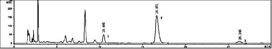 A kind of preparation technology of high-content compound Houttuynia cordata mixture