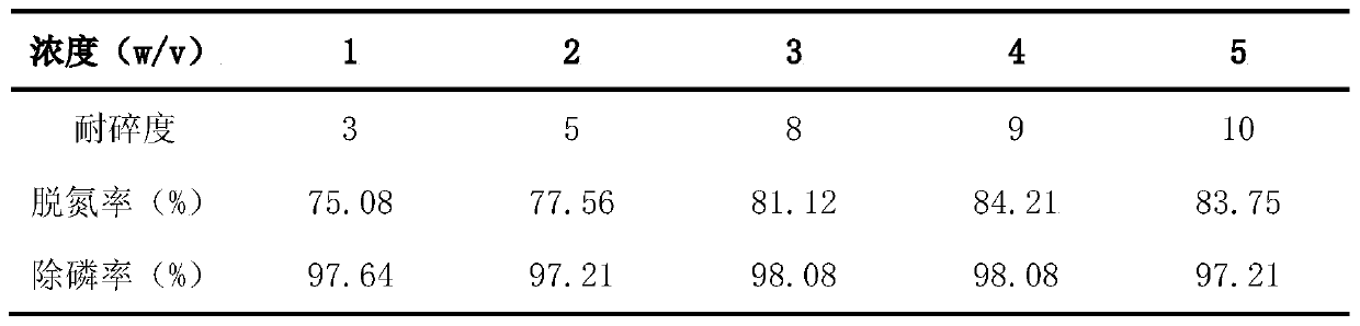 Preparation method and application of high-efficiency aerobic denitrification phosphorus-accumulating organism immobilized spheres