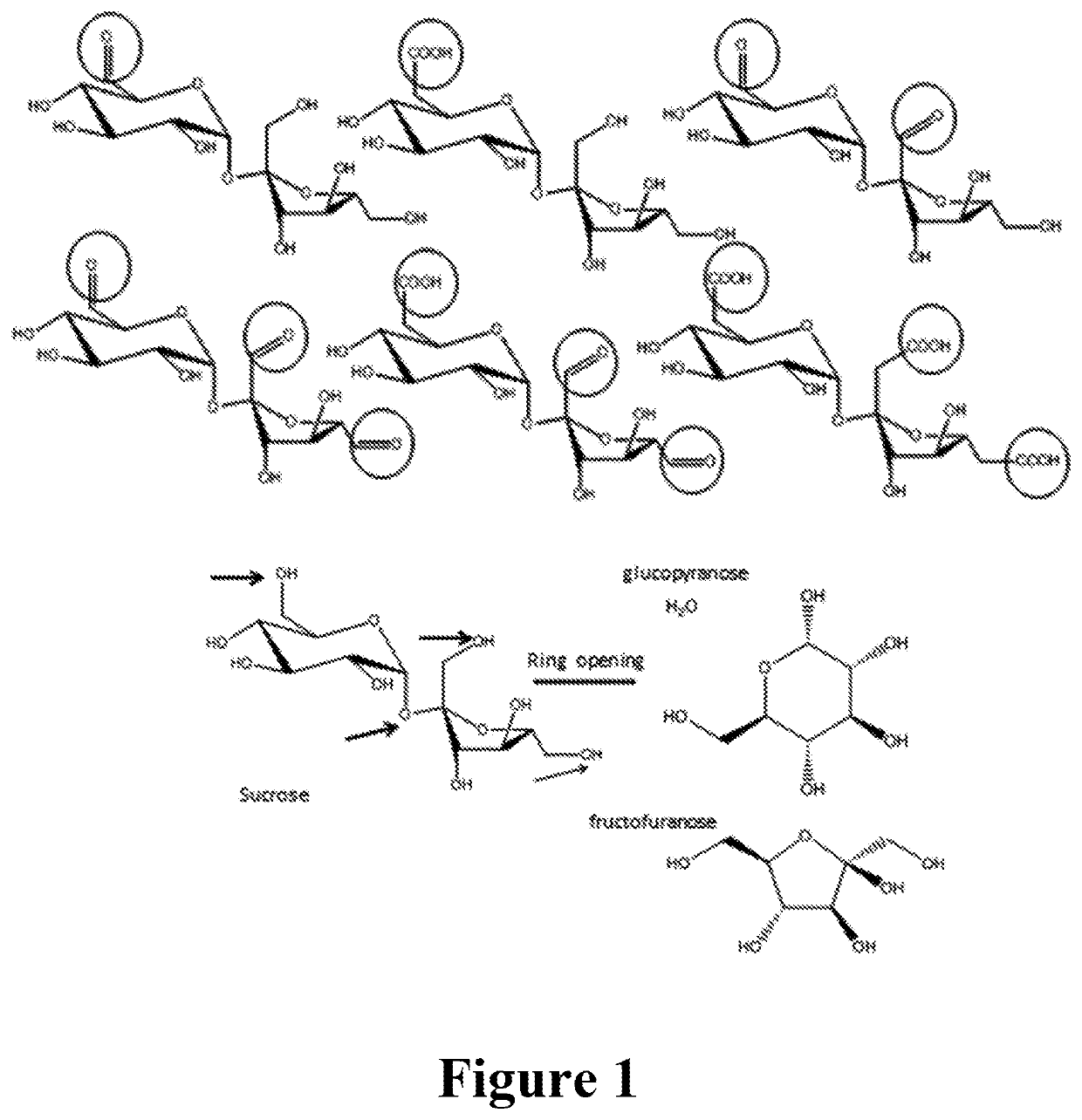 Green technology for crosslinking protein molecules for various uses