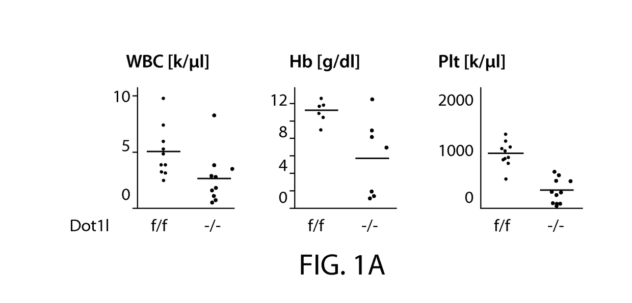 Dot1l inhibition in patients with mn1-high aml