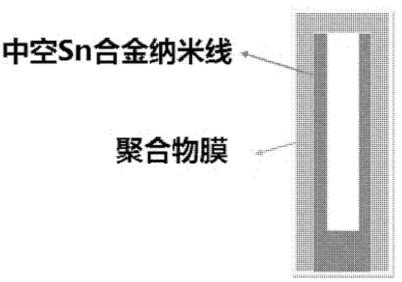 Hollow nanowire-polymer film nuclear shell structure composite material and preparation method thereof