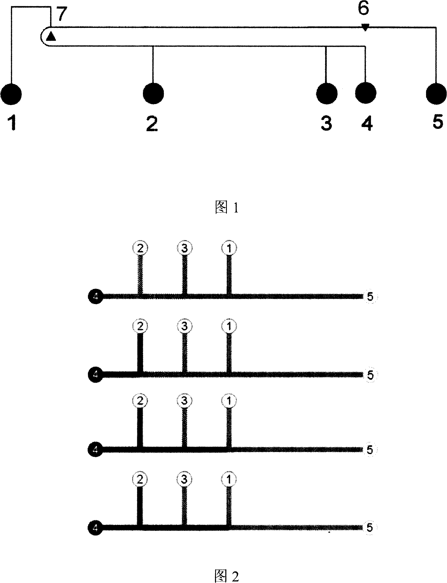 DNA on-line separating microcurrent control chip and analytical method thereof
