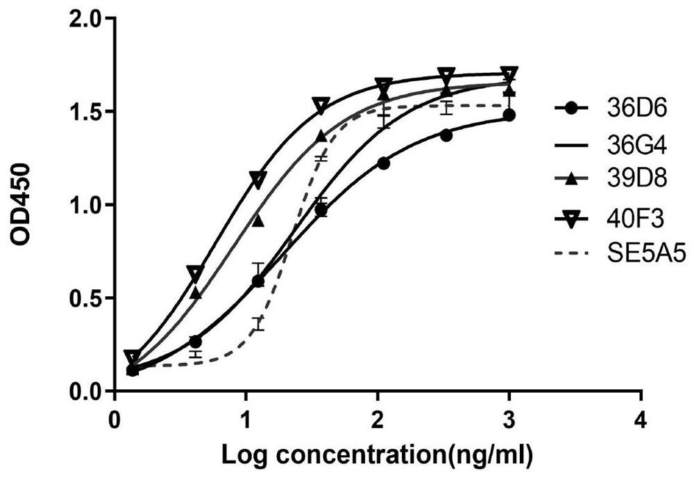 Anti-SIRP alpha monoclonal antibody