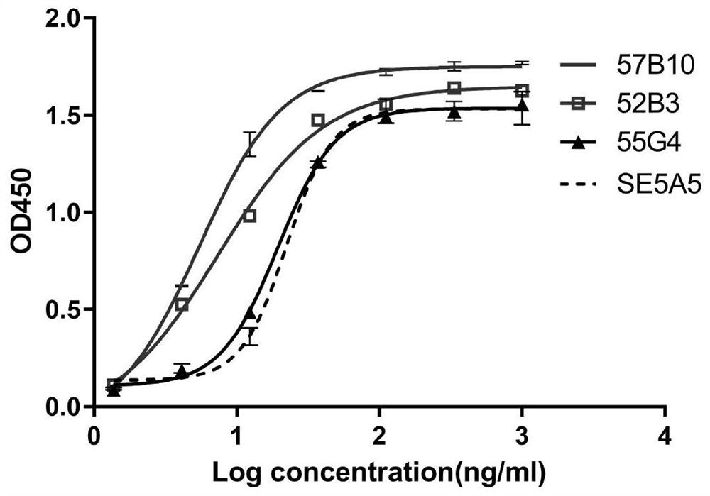 Anti-SIRP alpha monoclonal antibody