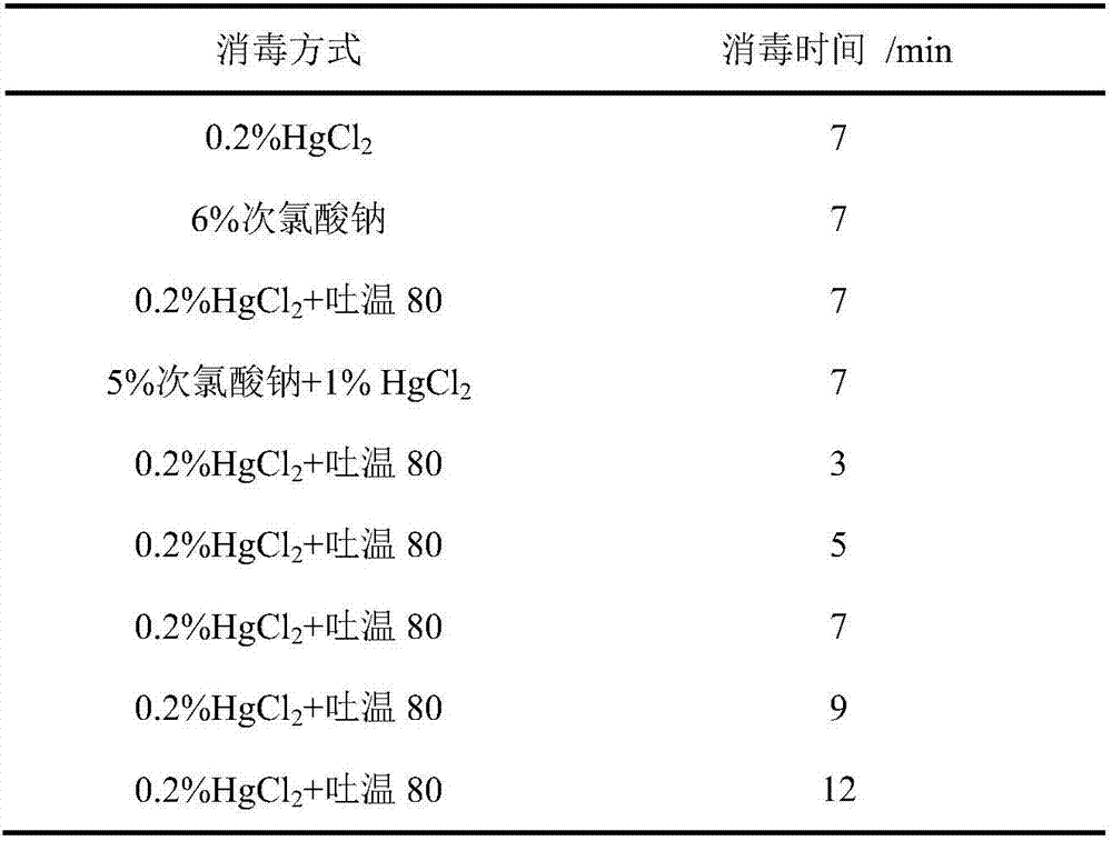 Culture medium for fagus longipetiolata plant tissue culture and culture method thereof