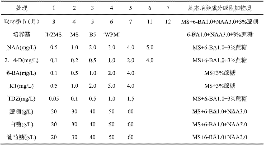 Culture medium for fagus longipetiolata plant tissue culture and culture method thereof