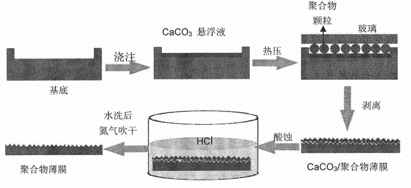 Method for preparing polymer superhydrophobic surface by CaCO3 template method