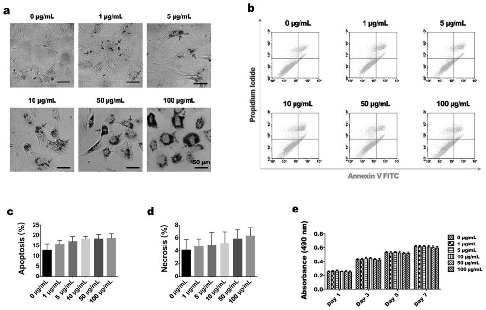 A kind of preparation method of magnetic control protein composite cell membrane sheet