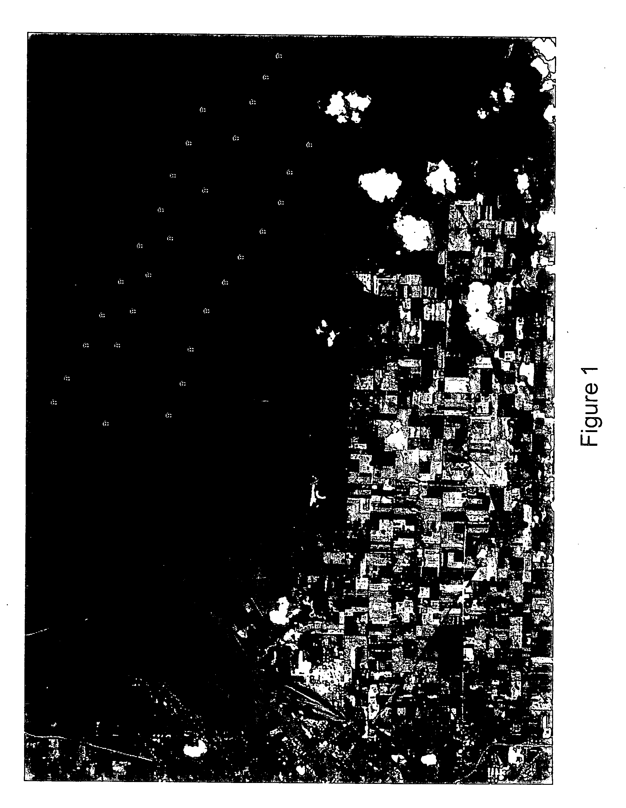 Method and apparatus for detecting phycocyanin-pigmented algae and bacteria from reflected light