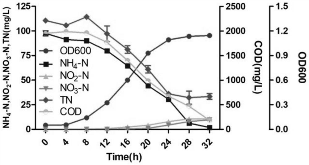 Alcalibacterium water producing as1 and its application in sewage treatment