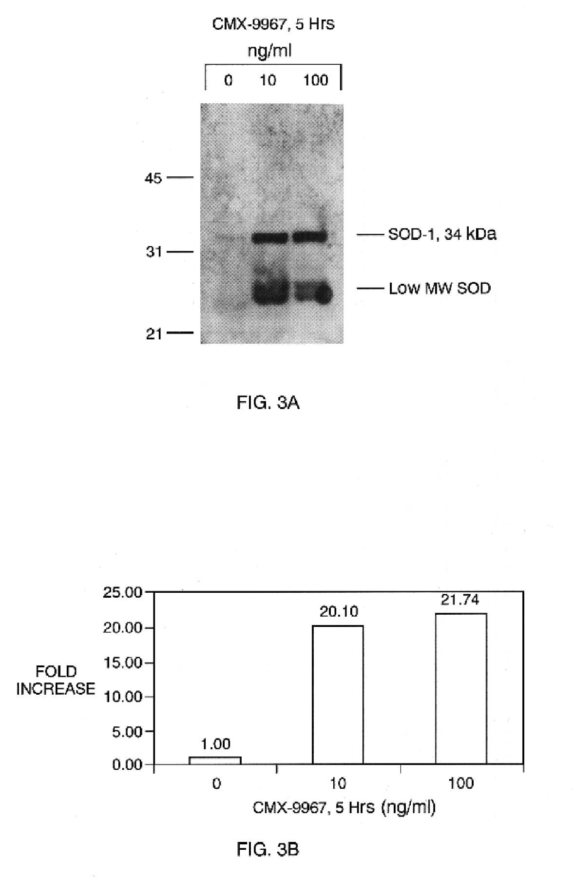 Compositions and methods for counteracting effects of reactive oxygen species and free radicals