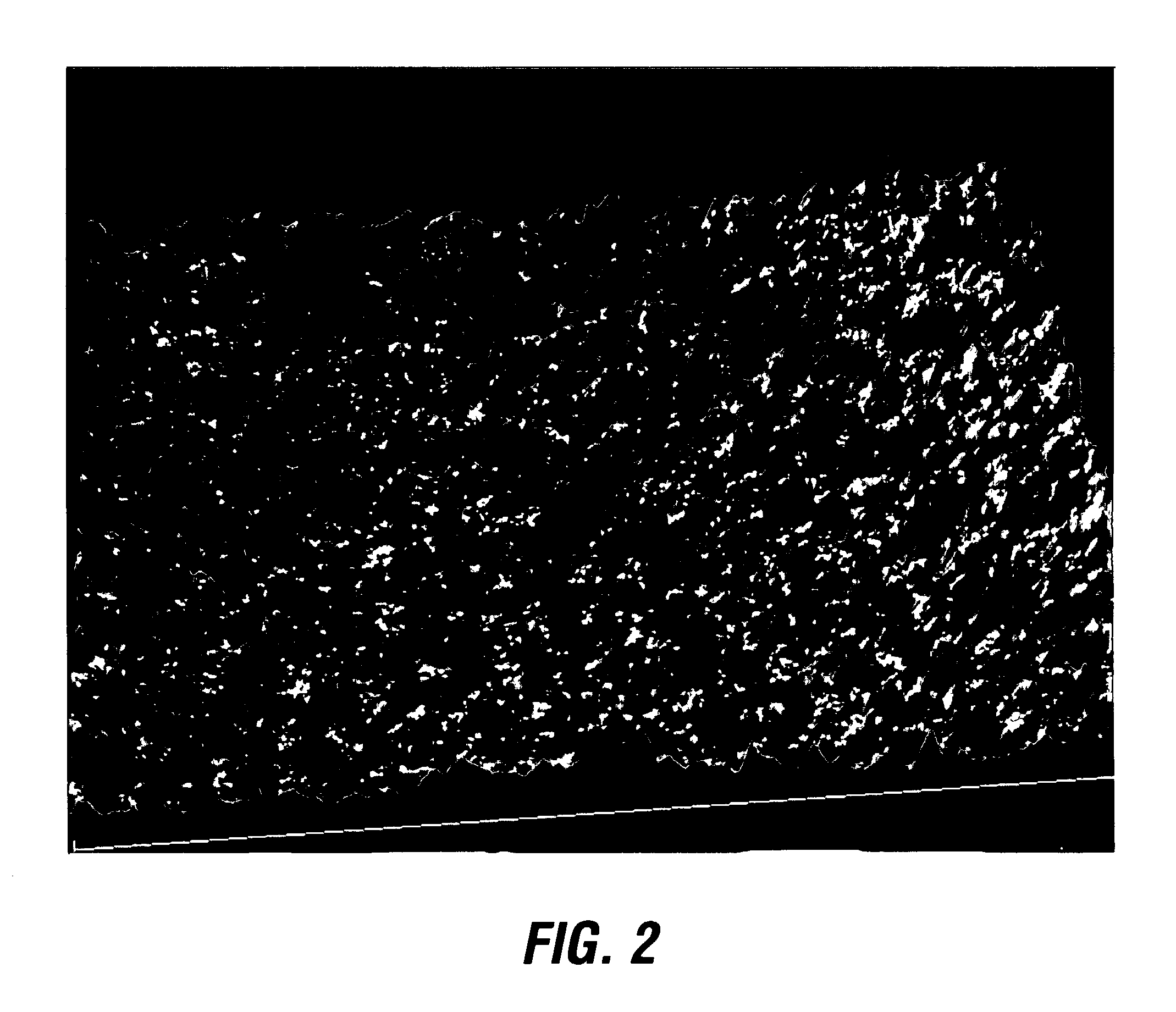 Extended duration insect repellent composition and method of application to the skin
