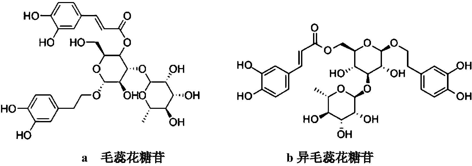 Osmanthus phenylethanoid glycoside extract, and preparation method and application thereof