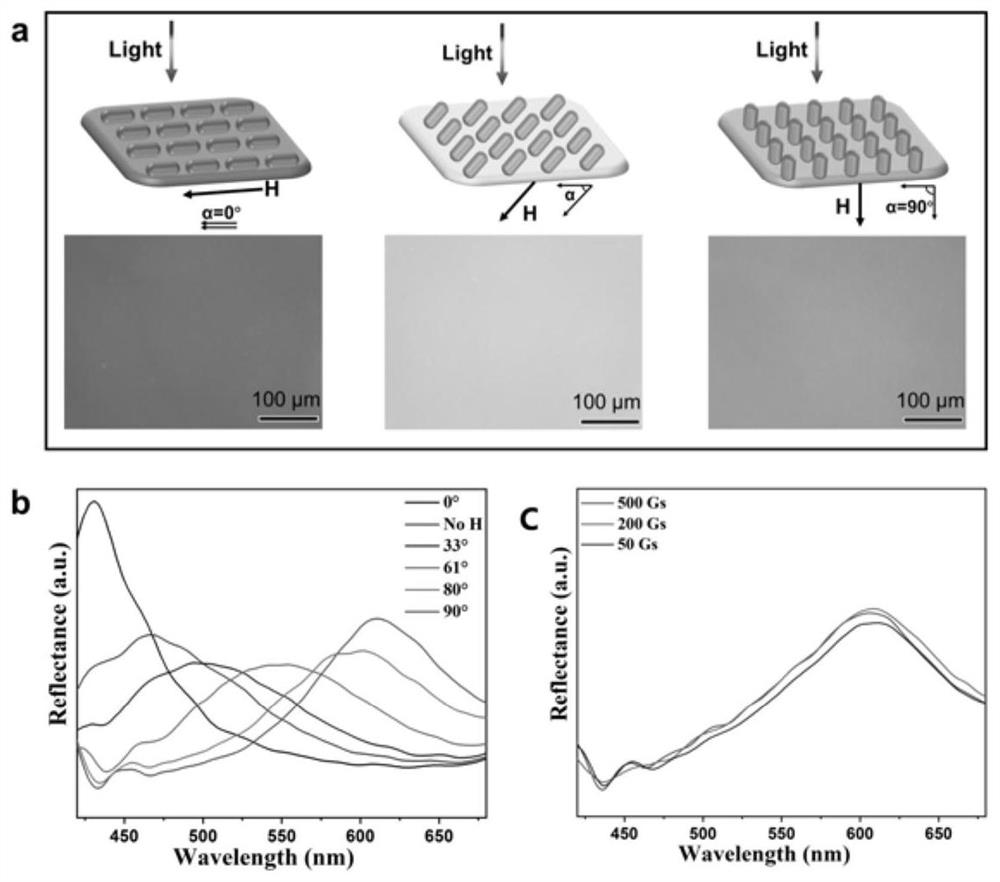 Method for visualizing complex magnetic field